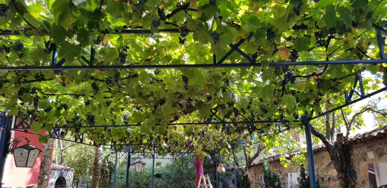 Villa Themistokli Korce Esterno foto